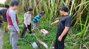 Bayi Perempuan Ditemukan Tewas dalam Kardus di Kebun Tebu Gondanglegi, Polisi Selidiki Pelaku Pembuangan
