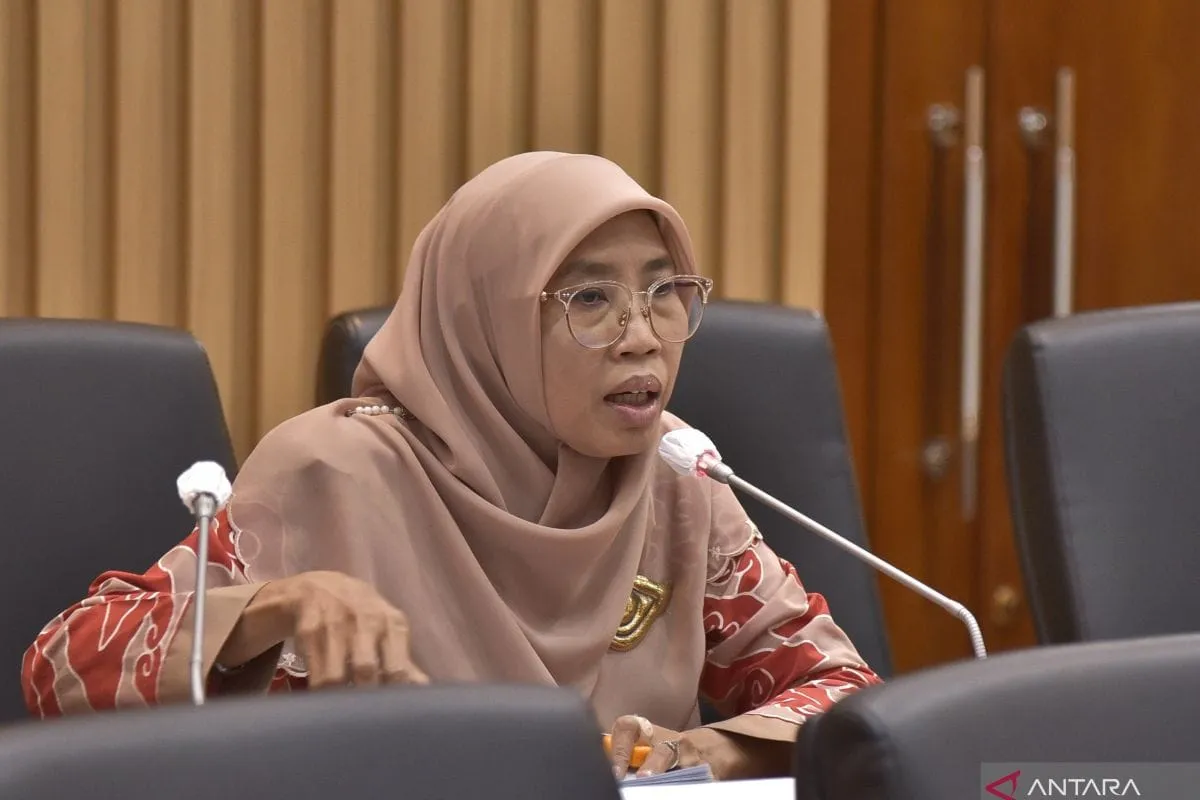 Netty Aher Desak Pemerintah Benahi Distribusi Dokter demi Pemerataan Layanan Kesehatan