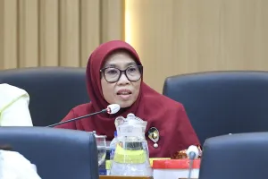 DPR Soroti Serapan Anggaran Kesehatan Primer yang Baru 38,7 Persen