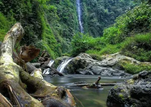 Desa Wisata Ngadirejo, Surga Tersembunyi di Lereng Bromo