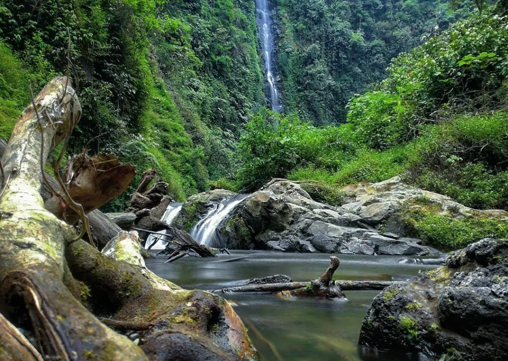 Desa Wisata Ngadirejo, Surga Tersembunyi di Lereng Bromo