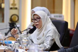 Kemenkes Skrining 10.564 Dokter Internsip, Netty: Evaluasi Sistemnya