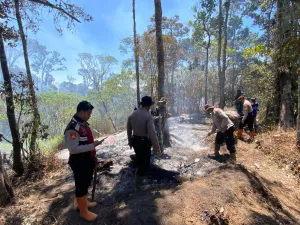 Kebakaran Melanda Gunung Buthak, Jalur Pendakian Diperketat demi Keselamatan