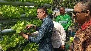 Empat RT Kompak Satukan Anggaran, Warga Puri Cempaka Putih Kini Panen Lele dan Kembangkan UMKM