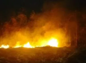Sehari Dua Kebakaran Mengamuk di Malang, Bengkel Ludes dan Lahan Bambu Terbakar