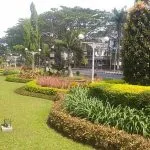 DLH Kota Malang Pangkas Perawatan Taman, Anggaran Operasional Turun 83,7 Persen